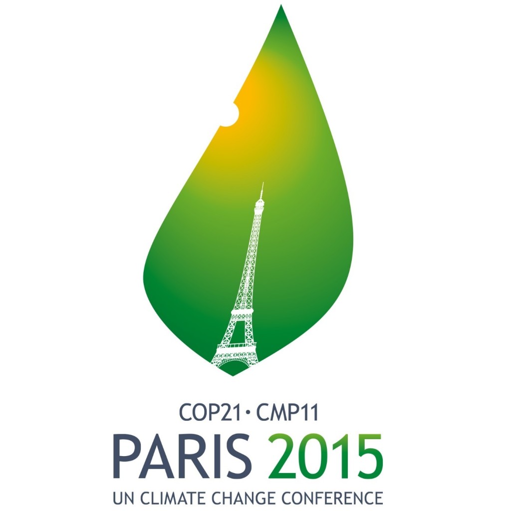 Think Smartgrids à la COP21