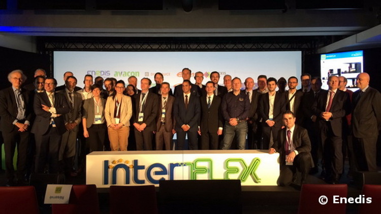Think Smartgrids interflex distributeurs europe demontrateur