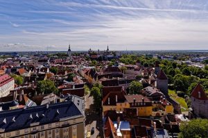 Think Smartgrids appel Tallinn commission Europe gouvernements entreprises digitalisation énergie