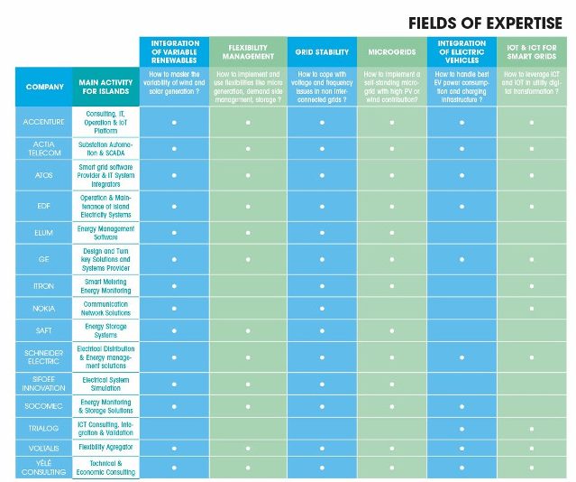 Think Smartgrids tableau compétences membres