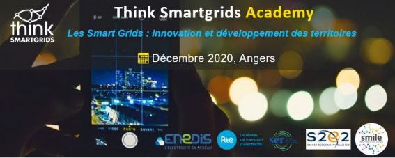 Think Smartgrids Academy : Think Smartgrids